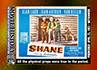 0144 - Shane