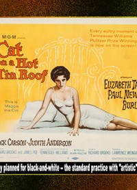 0169 - Cat on a Hot Tin Roof