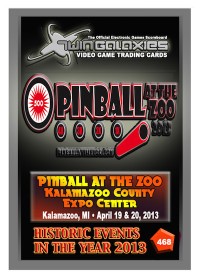 0468 Pinball At The Zoo