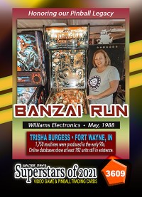 3609 - Banzai Run - Trish Burgess