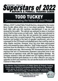 4117 - Todd Tuckey - Commemorating the history of Joust Pinball