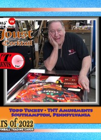 4117 - Todd Tuckey - Commemorating the history of Joust Pinball