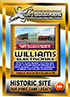 0506 Williams Electronics
